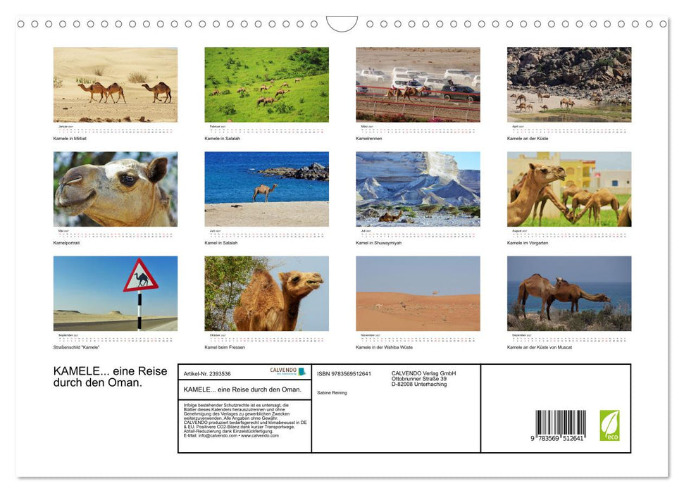 KAMELE... eine Reise durch den Oman. (CALVENDO Wandkalender 2027)