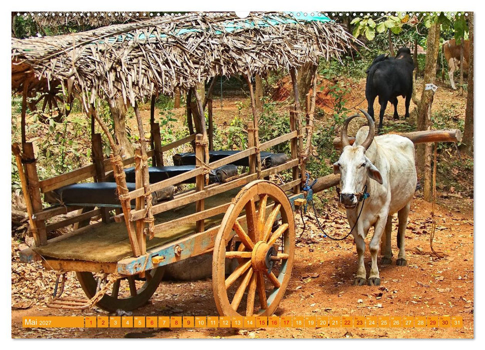Sri Lanka, Grüne Berge - unberührte Natur (CALVENDO Wandkalender 2027)