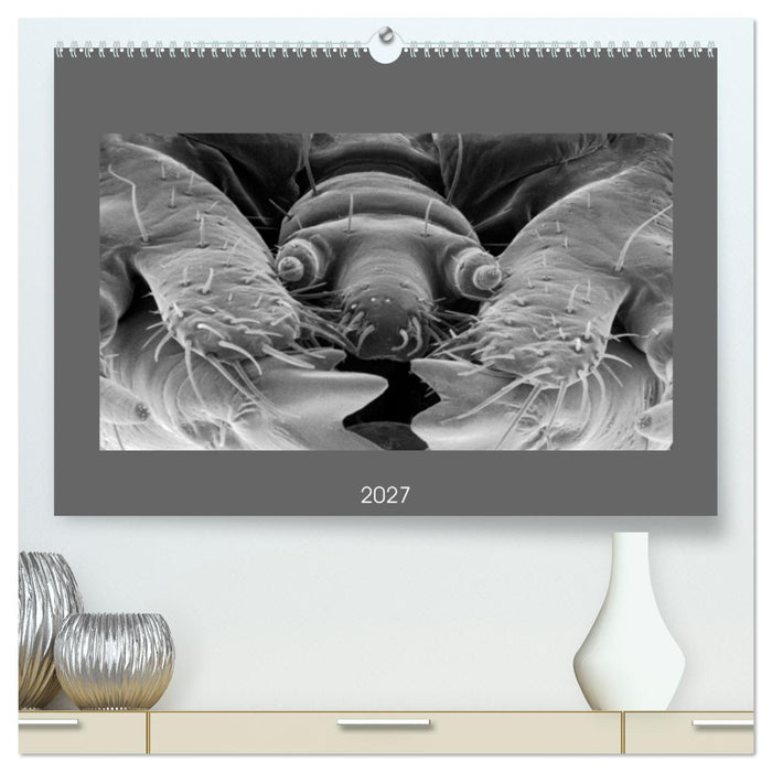 Erlebnis Mikrokosmos (CALVENDO Premium Wandkalender 2027)