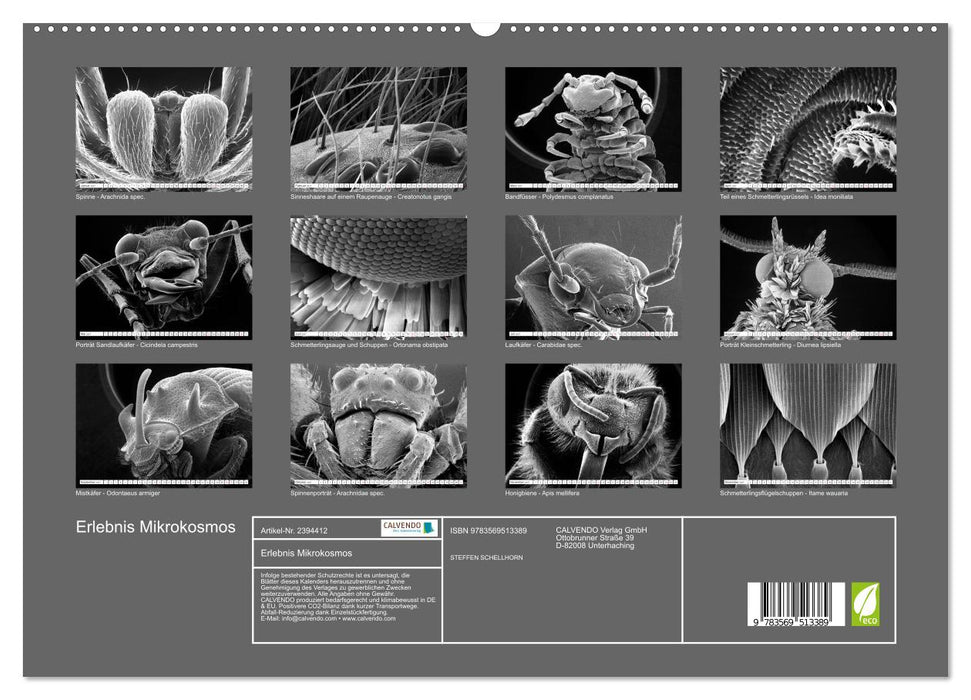 Erlebnis Mikrokosmos (CALVENDO Premium Wandkalender 2027)