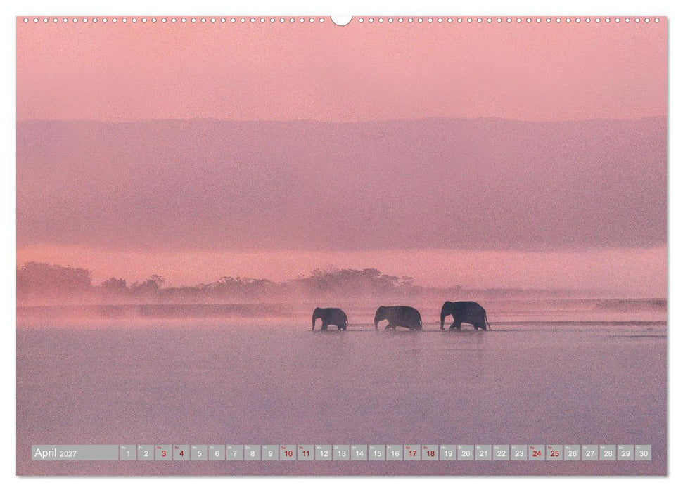 Spirit of Asia - Im Reich der guten Geister (CALVENDO Premium Wandkalender 2027)