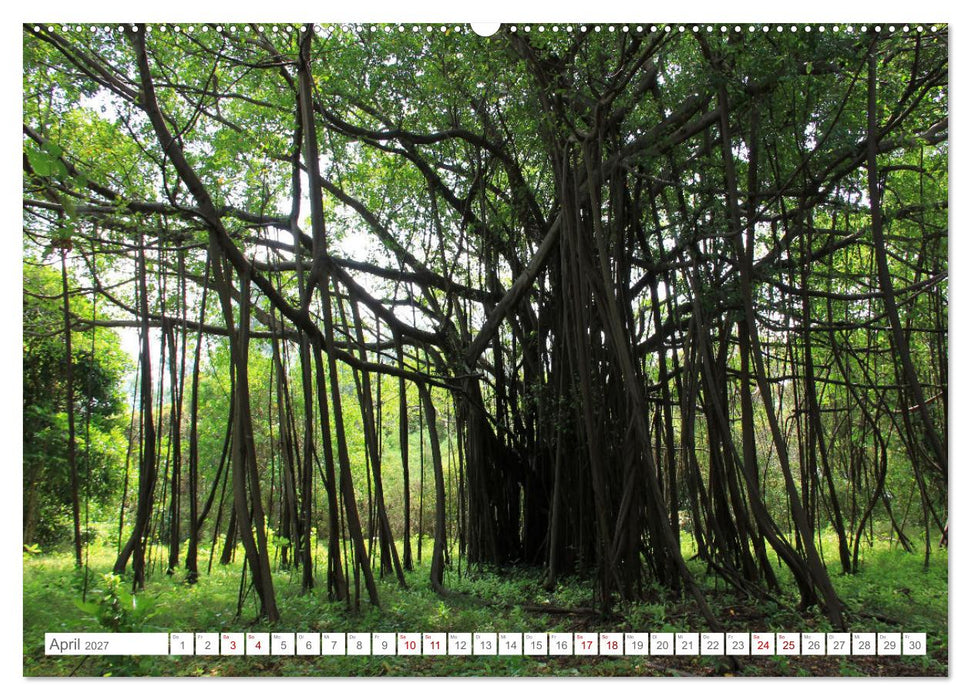 Indonesien pur und schön (CALVENDO Wandkalender 2027)
