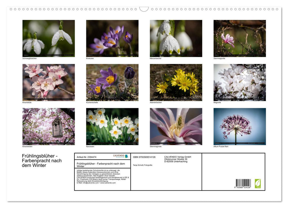 Frühlingsblüher - Farbenpracht nach dem Winter (CALVENDO Wandkalender 2027)