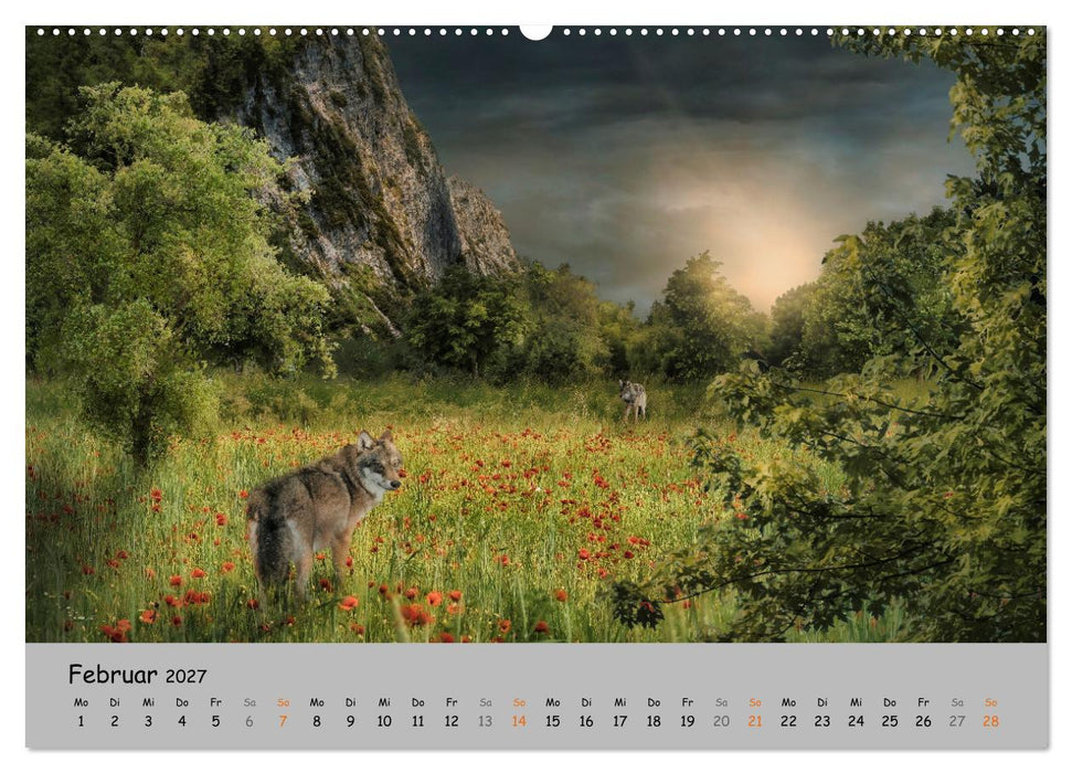 Der lange Weg der Wölfe (CALVENDO Wandkalender 2027)