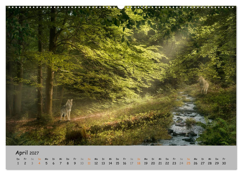 Der lange Weg der Wölfe (CALVENDO Wandkalender 2027)