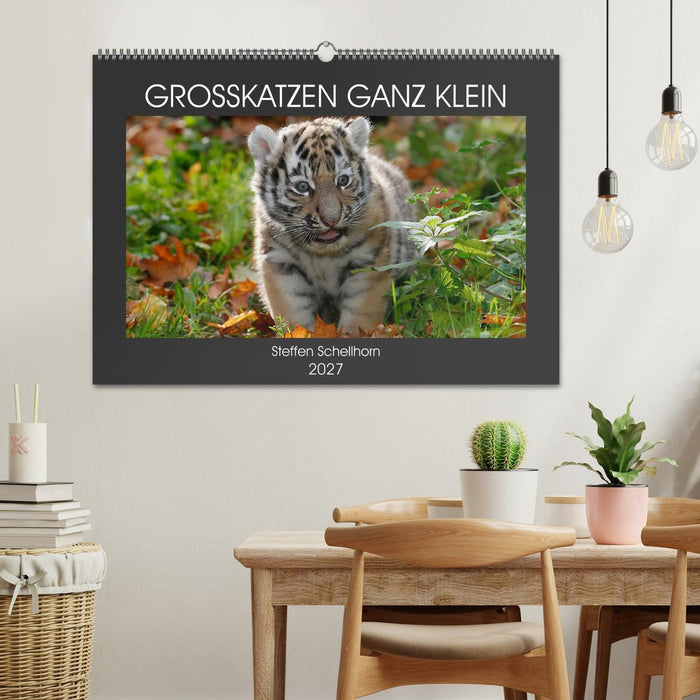 GROSSKATZEN GANZ KLEIN (CALVENDO Wandkalender 2027)