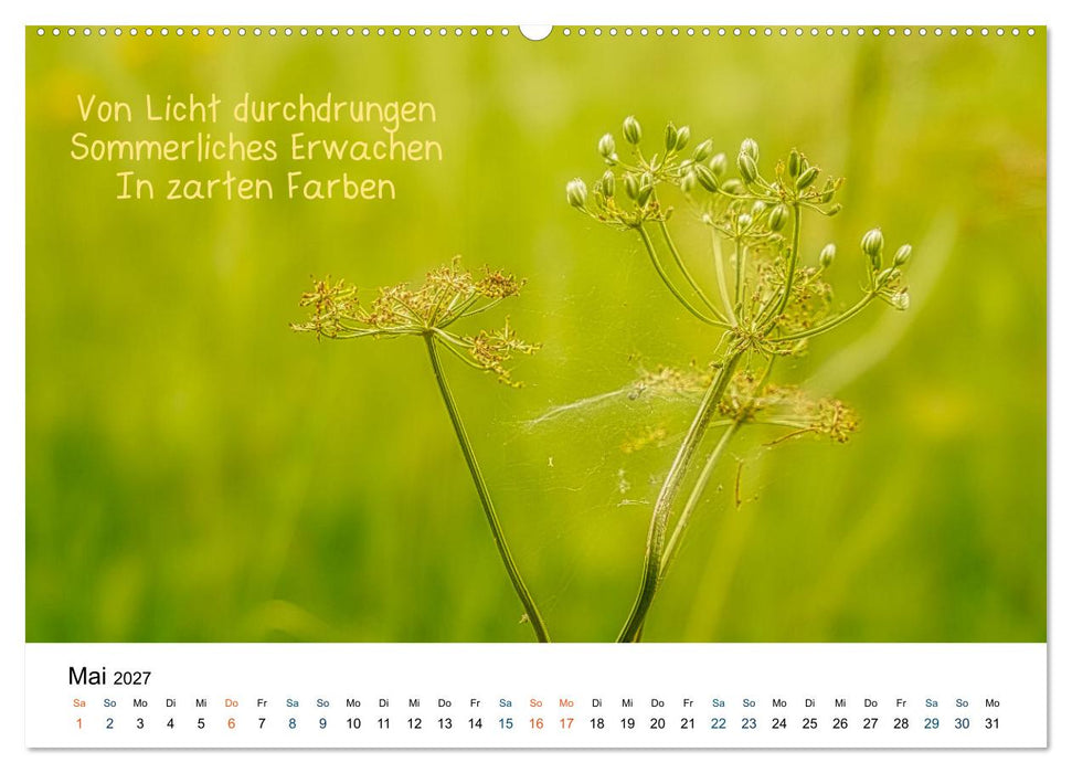 HAIKU, eine fotografische Interpretation (CALVENDO Premium Wandkalender 2027)