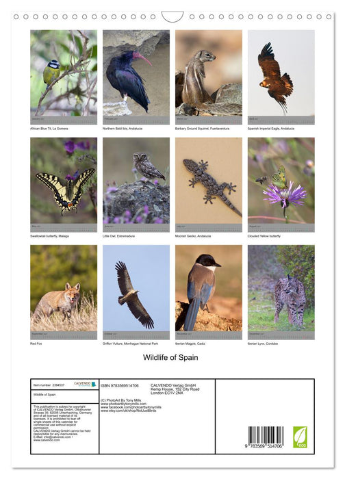 Wildlife of Spain (CALVENDO Monthly Calendar 2027)