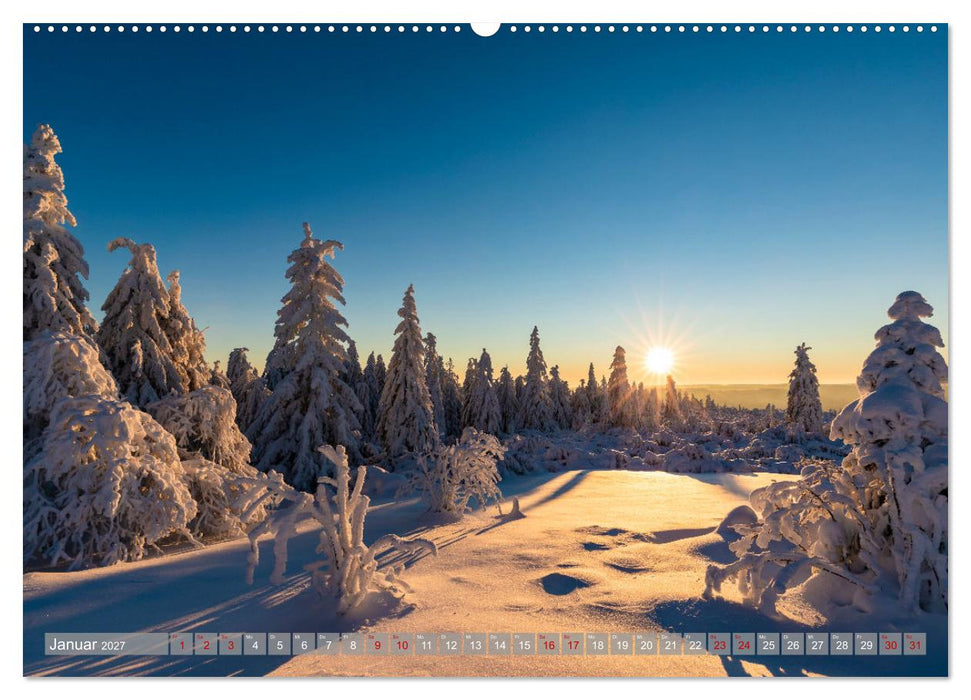 Ein Jahr im Schwarzwald (CALVENDO Wandkalender 2027)