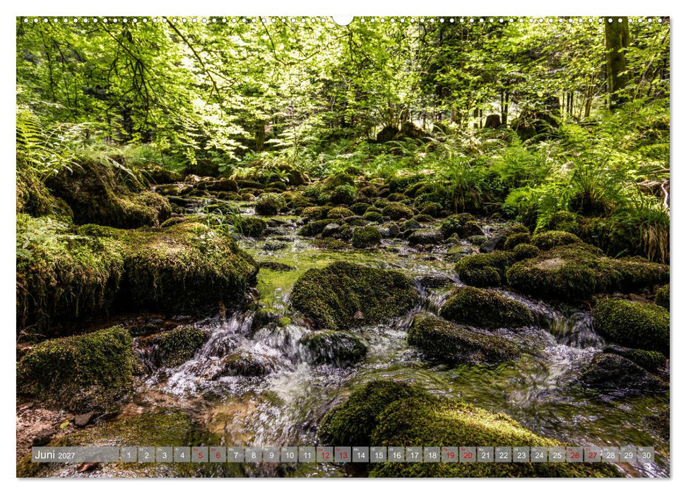 Ein Jahr im Schwarzwald (CALVENDO Wandkalender 2027)