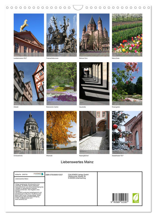 Liebenswertes Mainz (CALVENDO Wandkalender 2027)