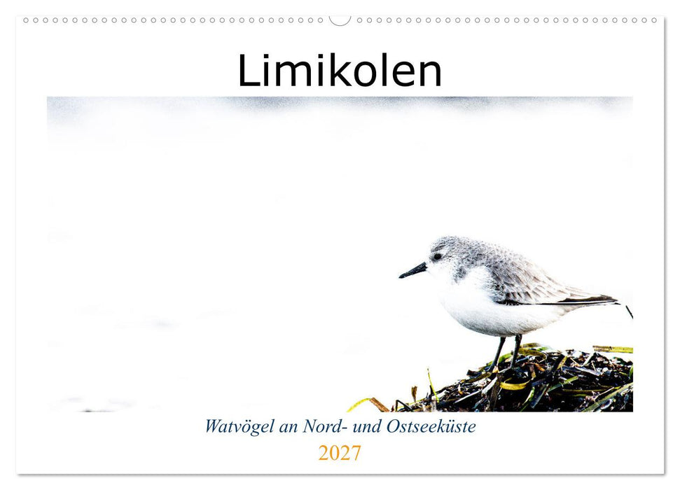 Limikolen - Watvögel an Nord- und Ostseeküste (CALVENDO Wandkalender 2027)