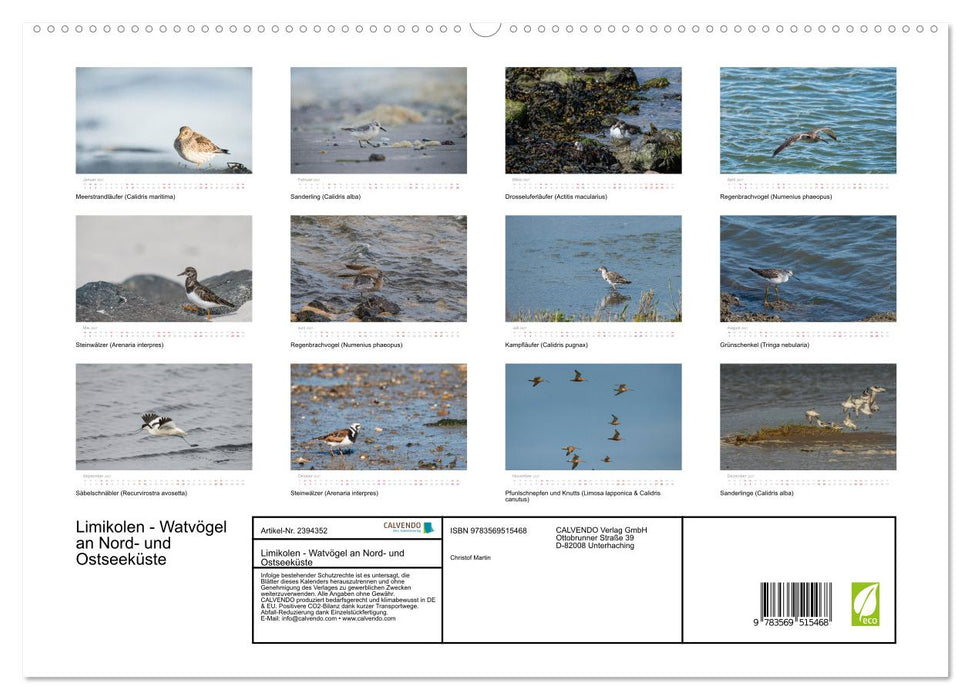 Limikolen - Watvögel an Nord- und Ostseeküste (CALVENDO Wandkalender 2027)
