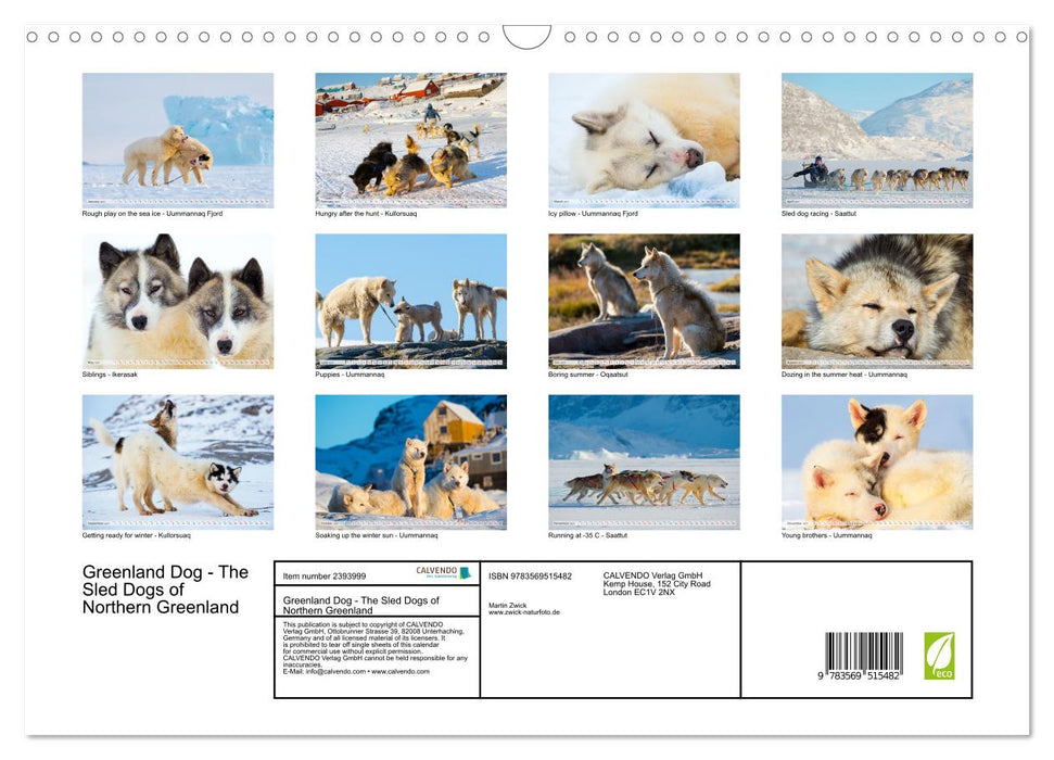 Greenland Dog - The Sled Dogs of Northern Greenland (CALVENDO Monthly Calendar 2027)