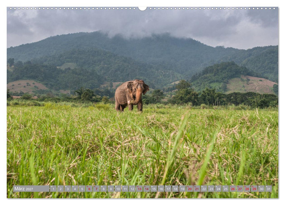 ELEFANTEN Jumbos der Herzen (CALVENDO Wandkalender 2027)