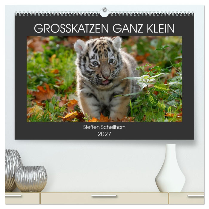 GROSSKATZEN GANZ KLEIN (CALVENDO Premium Wandkalender 2027)