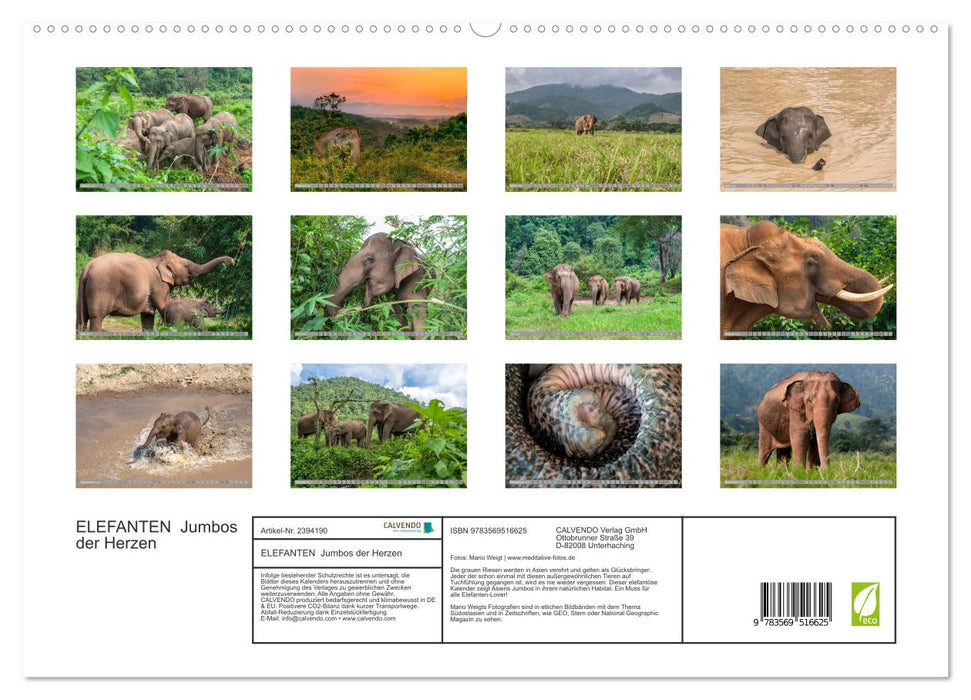 ELEFANTEN Jumbos der Herzen (CALVENDO Premium Wandkalender 2027)