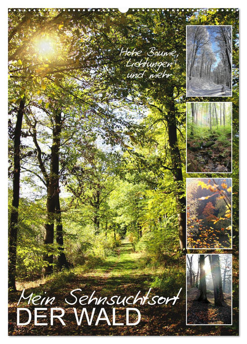 Mein Sehnsuchtsort, der Wald (CALVENDO Wandkalender 2027)