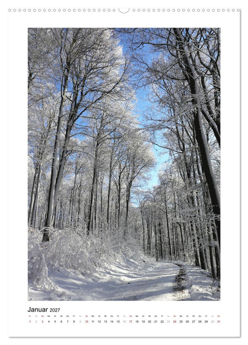 Mein Sehnsuchtsort, der Wald (CALVENDO Wandkalender 2027)