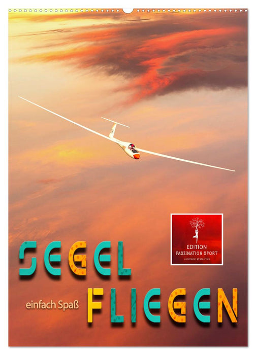 Segelfliegen - einfach Spaß (CALVENDO Wandkalender 2027)