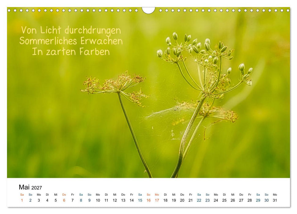 HAIKU, eine fotografische Interpretation (CALVENDO Wandkalender 2027)