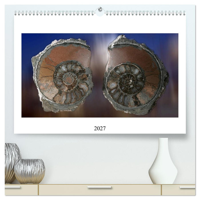 Versteinerte Welt (CALVENDO Premium Wandkalender 2027)