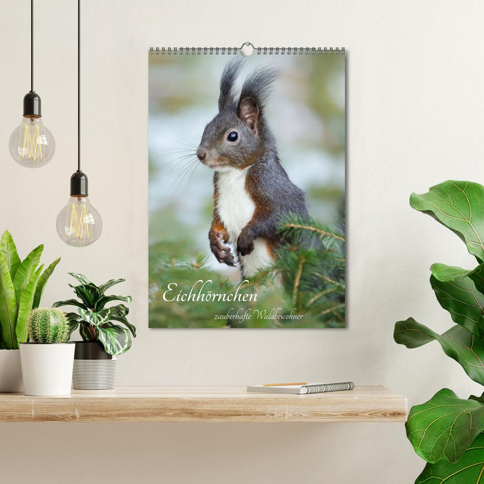 Eichhörnchen - zauberhafte Waldbewohner (CALVENDO Wandkalender 2027)