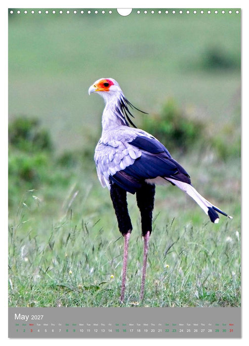 Wildlife of the Masai Mara (CALVENDO Monthly Calendar 2027)