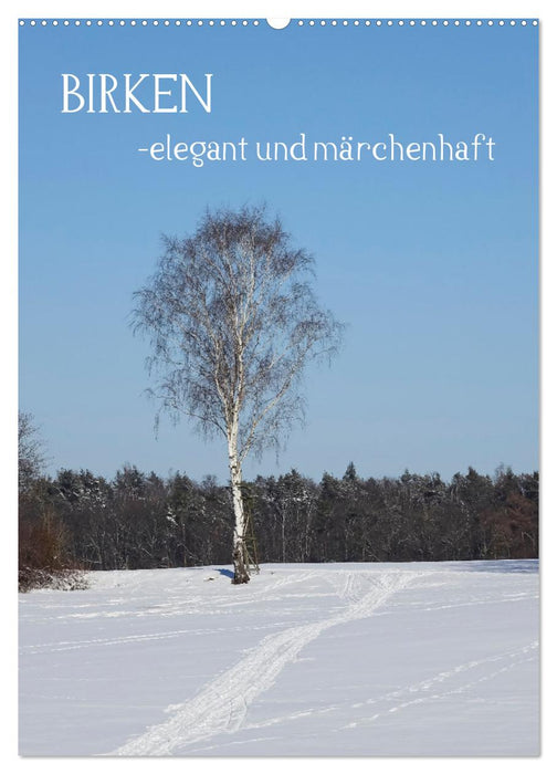 Birken - elegant und märchenhaft (CALVENDO Wandkalender 2027)