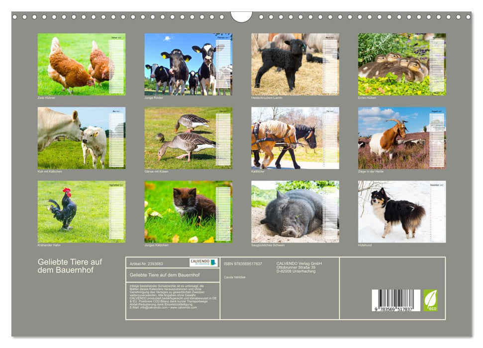 Geliebte Tiere auf dem Bauernhof (CALVENDO Wandkalender 2027)
