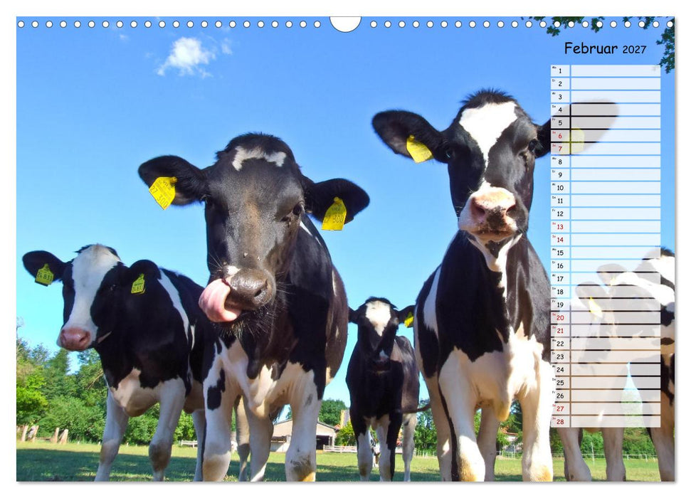 Geliebte Tiere auf dem Bauernhof (CALVENDO Wandkalender 2027)