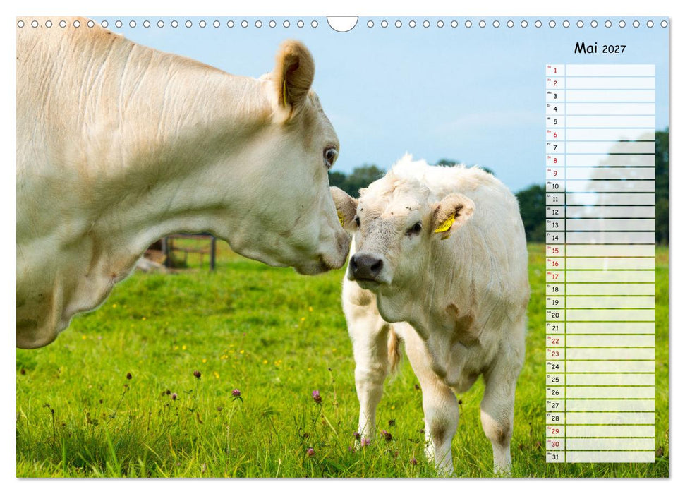 Geliebte Tiere auf dem Bauernhof (CALVENDO Wandkalender 2027)