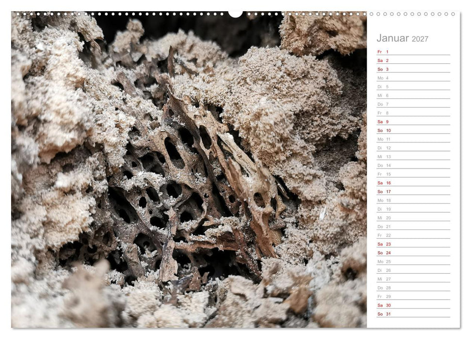 Abstrakte Umwelt (CALVENDO Premium Wandkalender 2027)