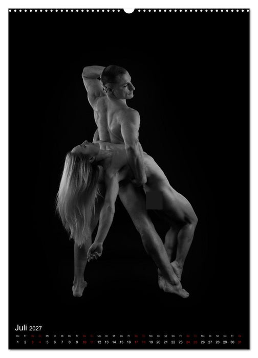NUDE DANCE (CALVENDO Premium Wandkalender 2027)