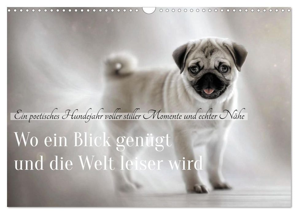 Wo ein Blick genügt und die Welt leiser wird (CALVENDO Wandkalender 2027)