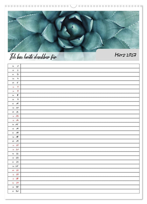 Ich bin dankbar - ein Jahr voller Achtsamkeit (CALVENDO Wandkalender 2027)