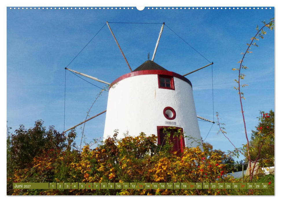 Gifhorn - Kleine Reise durch die Welt der Mühlen (CALVENDO Wandkalender 2027)