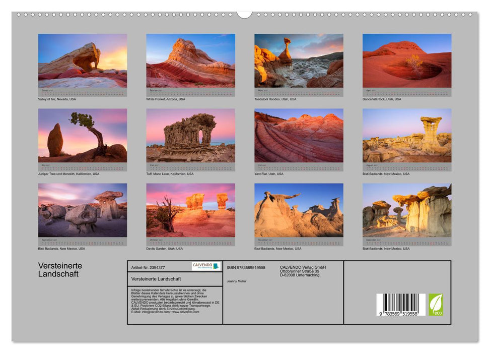 Versteinerte Landschaft (CALVENDO Premium Wandkalender 2027)