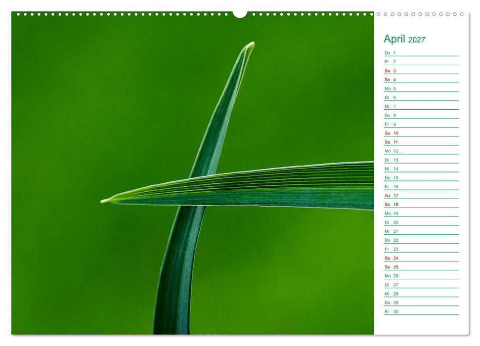 Grün Makrofotografien aus der grünen Welt der Pflanzen als Monatsplaner (CALVENDO Premium Wandkalender 2027)