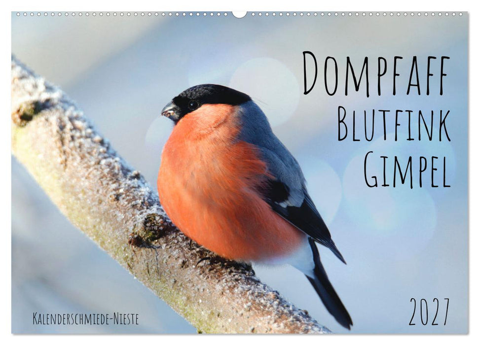Dompfaff, Blutfink, Gimpel (CALVENDO Wandkalender 2027)