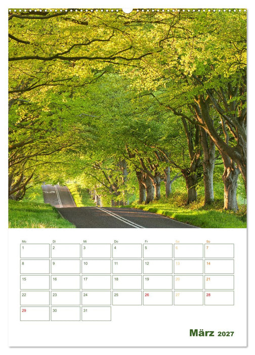 Alleen: Schnurgerade (CALVENDO Wandkalender 2027)