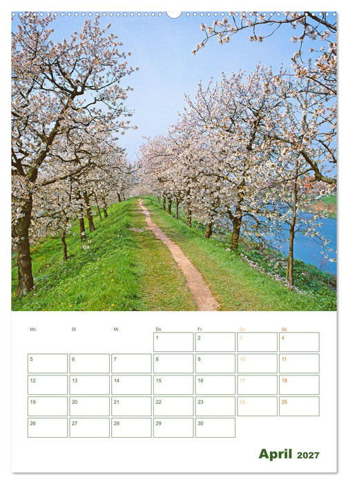 Alleen: Schnurgerade (CALVENDO Wandkalender 2027)