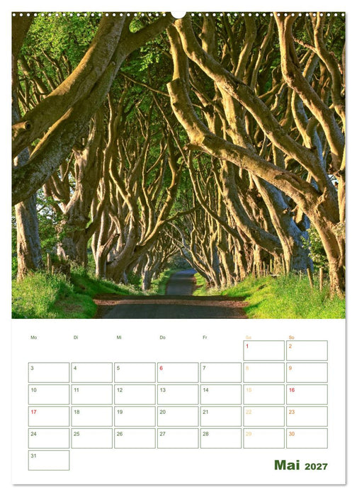 Alleen: Schnurgerade (CALVENDO Wandkalender 2027)