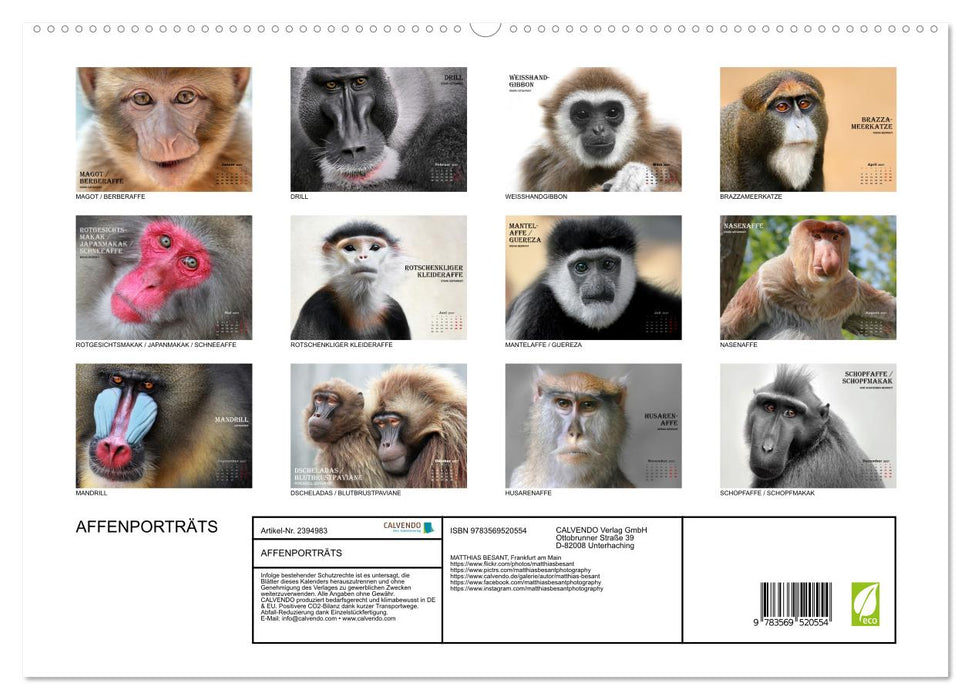 AFFENPORTRÄTS (CALVENDO Premium Wandkalender 2027)