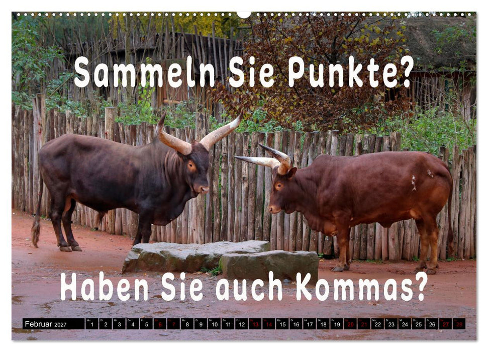 Spruchreif - Gute-Laune-Kalender (CALVENDO Wandkalender 2027)