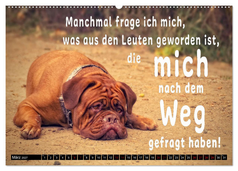 Spruchreif - Gute-Laune-Kalender (CALVENDO Wandkalender 2027)