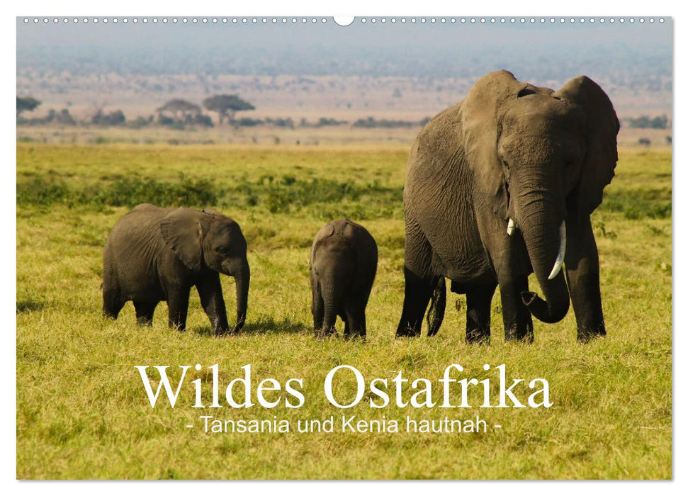 Wildes Ostafrika - Tansania und Kenia hautnah (CALVENDO Wandkalender 2027)
