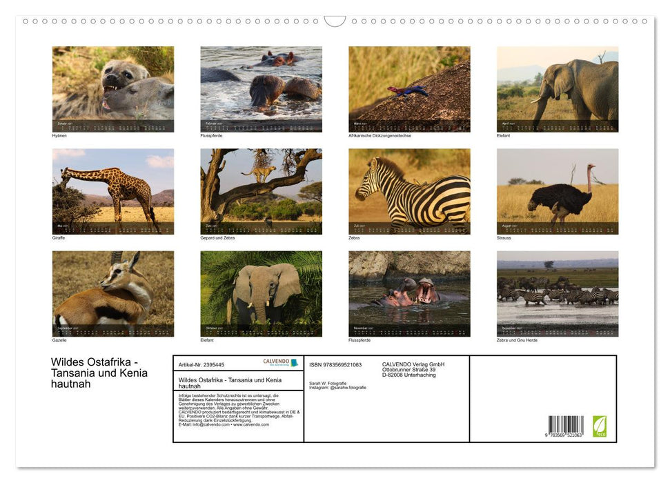 Wildes Ostafrika - Tansania und Kenia hautnah (CALVENDO Wandkalender 2027)