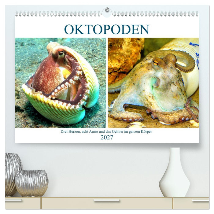 Oktopoden. Drei Herzen, acht Arme und das Gehirn im ganzen Körper (CALVENDO Premium Wandkalender 2027)