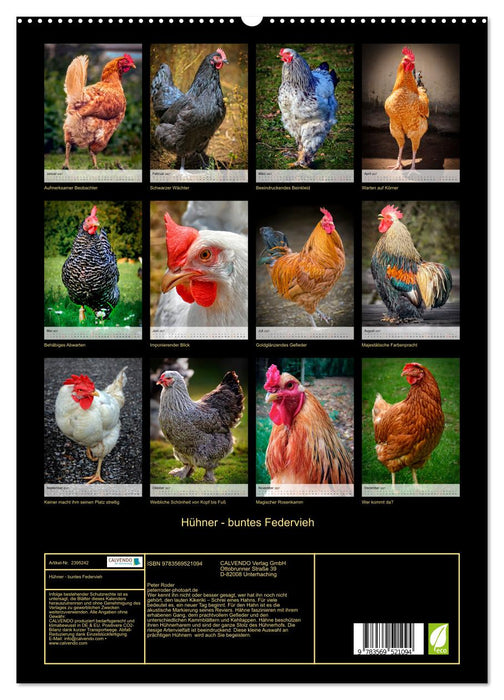 Hühner - buntes Federvieh (CALVENDO Premium Wandkalender 2027)